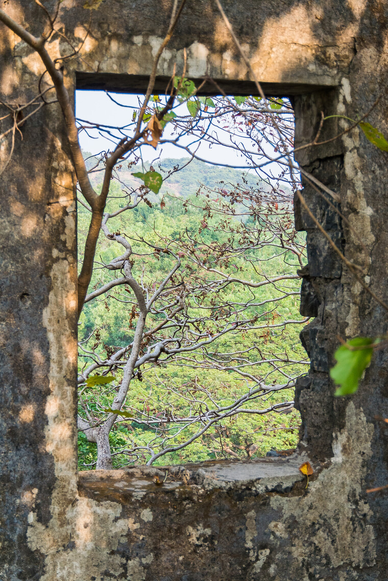 India 2014 - Mumbai 026.jpg